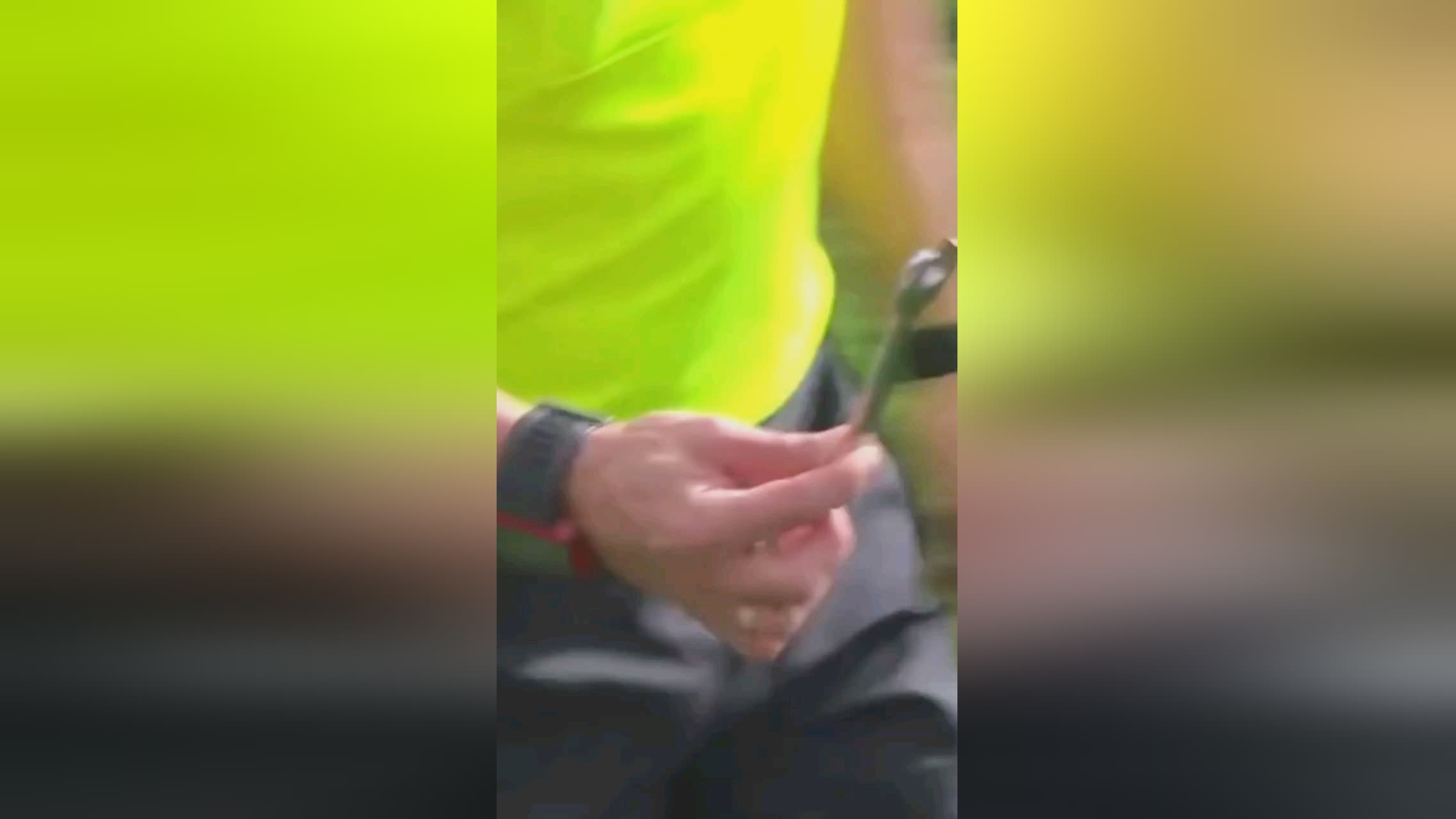 队整体